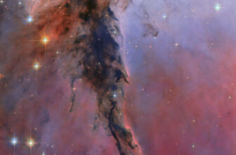 Rejoice the Thirty fifth anniversary of the Hubble Area Telescope with a huge tower of fuel and mud