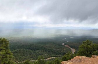 The Little Issues Publication #468 -Life, laughter, and many nice meals!