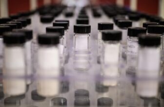 The FDA clears the primary blood check for diagnosing Alzheimer’s illness