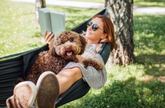 Make Relaxation Really feel Productive (So You Really Do It)