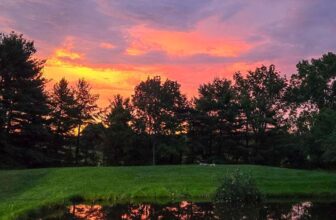 The Little Issues E-newsletter #475 – Life, laughter, and plenty of nice meals!