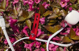 When you solely purchase one USB-C charger in 2025, make it this one