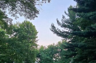 The Little Issues Publication #481 – Life, laughter, and many nice meals!